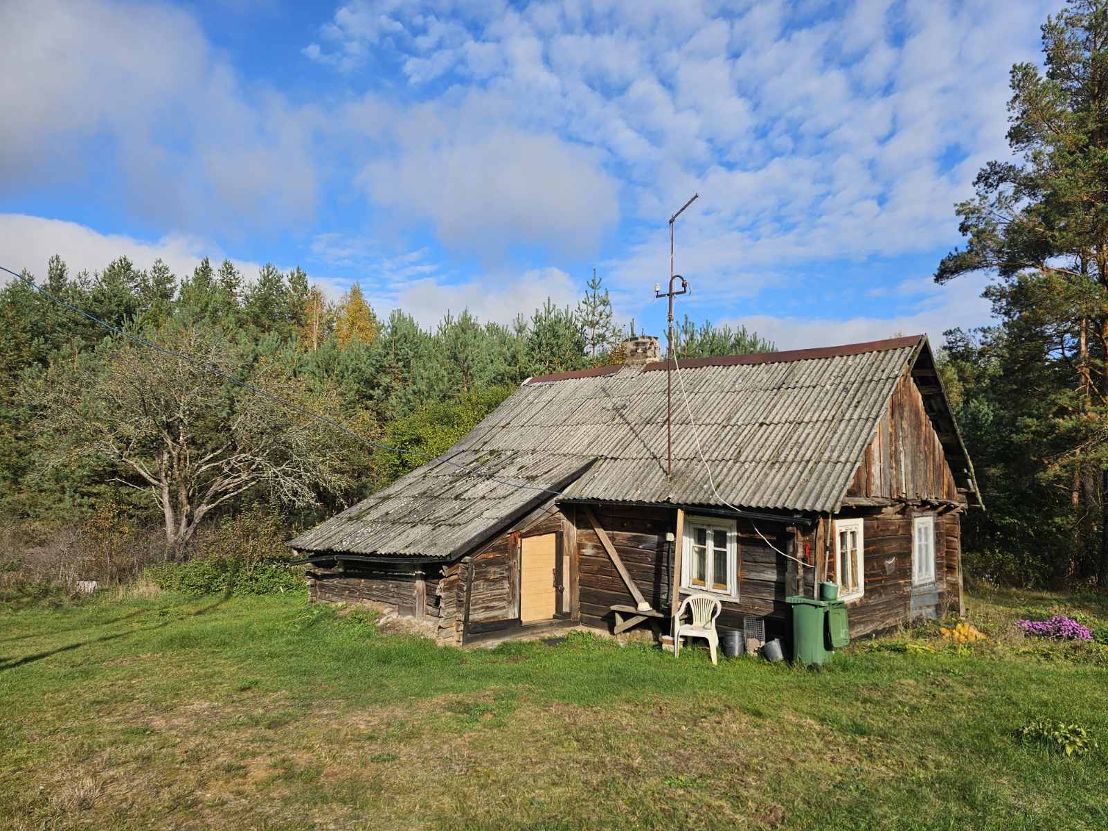 Parduodama tikra Dzūkiška sodyba pušyno apsupty